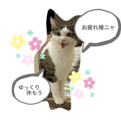 yuka_20210213012440