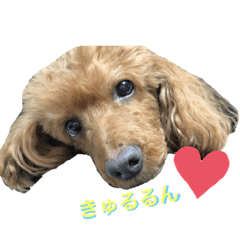 yuka_20210212225417