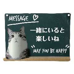 Cat message blackboard