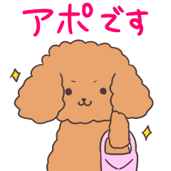 Marriage Activity Toy Poodle