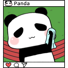 Panda-exercise