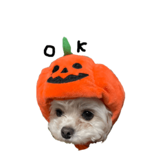 saya_20210213092512