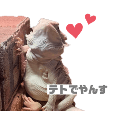 aoi_20210213111542
