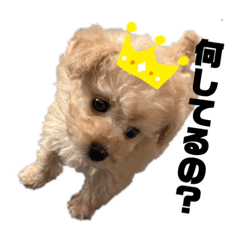 yukari_20210213122958