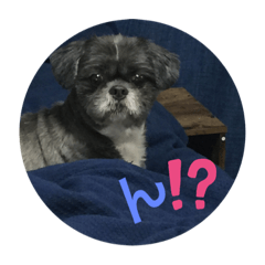 Emily_20210213112739