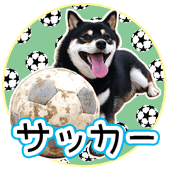 黒柴犬の♡サッカー応援♡スタンプ02