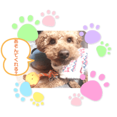 もっちとロール