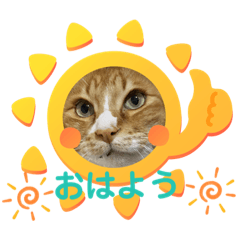 Haruna_20210213140800