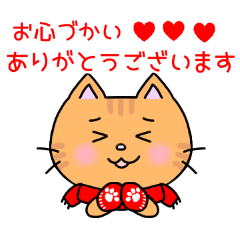 Japanese TORA cat No.2