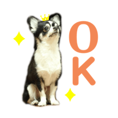 nanami_20210213150613