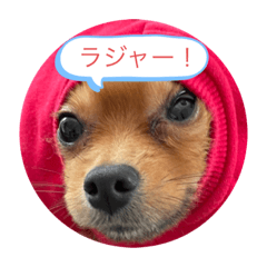 Hana_20210213155643