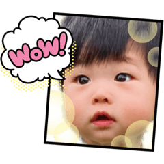 臭豬豬的日常II