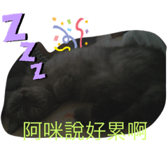 小阿咪^_^喵