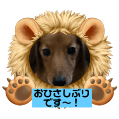 higashi-nachou_DOG stickers6.