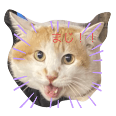 nozomi_20210213204733