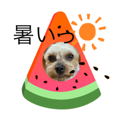 mini_20210214075241