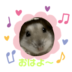 Hikari_20210213220812