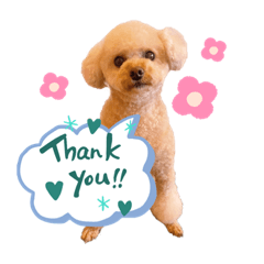 Mizuki_20210213220432