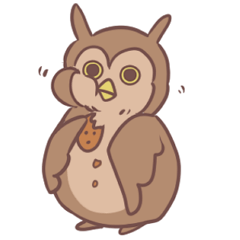 Owly's busy life
