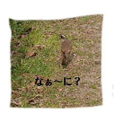 hana_20210214115106