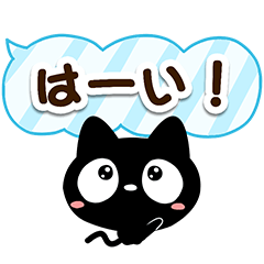 Very cute black cat4