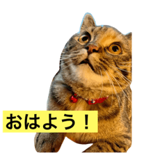 pikari_20210214110346