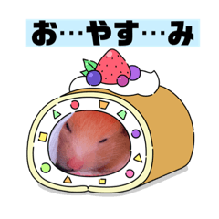 Mimi_20210214122045