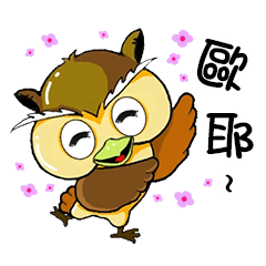 Owl and Miyoko daily life
