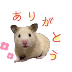 nanami_20210214125346