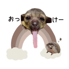 mimosa__coton sticker