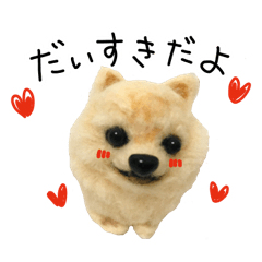 ポメラニアンのももちゃん
