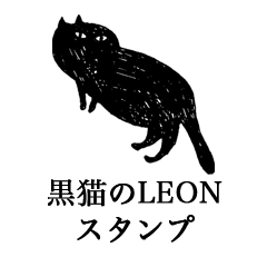 LEON of a black cat
