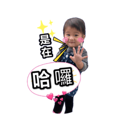 雪糕妹兩歲貼圖趴兔