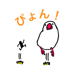 Small owner and Java sparrow
