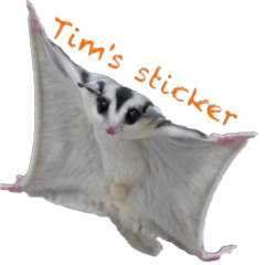 Sugar Glider Tim's Sticker