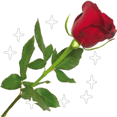 バラ 梅 桜 菜の花 たんぽぽの写真 改 Line スタンプ Line Store