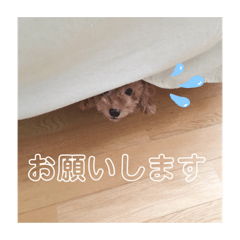 YN_20210214145552