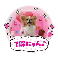 yukari_20210214172750