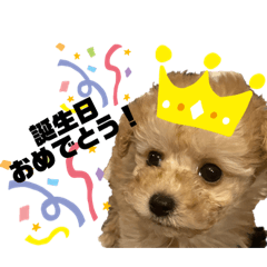 yukari_20210214175505