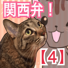 【関西弁】表情豊かな猫ちゃん達。４