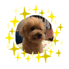 smile_20210214224852