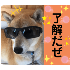 Dakko_20210214230637