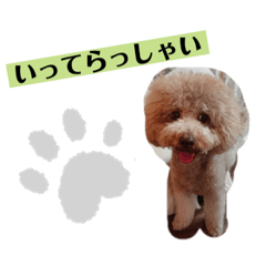 rina_20210214194609