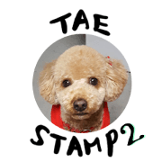 smart dog TAE