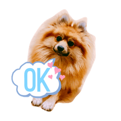 saori_20210215050209