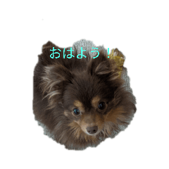 aoi_20210215081325