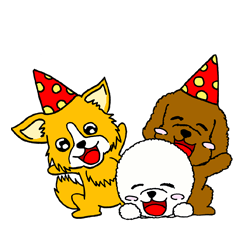 Bichon Frize, Toy Poodle and Chihuahuas