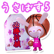 Basketball USA-BAS5