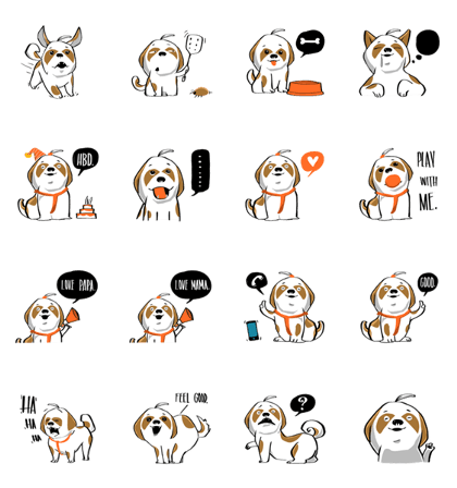 Mali Shih Tzu Dog.