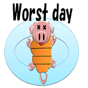 Daily greetings by pigs
